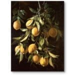 Obraz do kuchni cytryny realistyczny rustykalny styl żółto-zielony