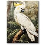 Obraz do salonu klasyczny papuga kakadu natura las biało-zielony Obraz do salonu klasyczny papuga kakadu natura las biało-zielony