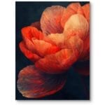 Obraz realistyczna piwonia do salonu klasyczny boho czerwono-pomarańczowy