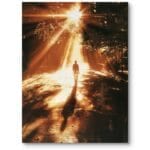 Plakat do biura natura las samotna wędrówka realizm pomarańczowo-czarny