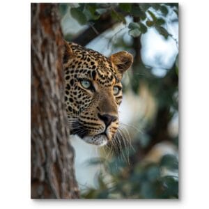 Plakat do nowoczesnego salonu dzikie koty leopard za drzewem brązowo-zielony