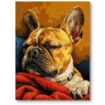 Plakat do nowoczesnego salonu, zwierzęta pies bulldog pop-art żółto-czerwony