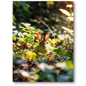 Plakat do pokoju dziecięcego rustykalny królik zielono-brązowy