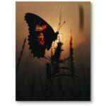 Plakat do salonu biura natura motyl zachód słońca realistyczny czarno-pomarańczowy