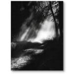 Plakat do salonu krajobraz las we mgle minimalistyczny czarno-biały Plakat do salonu krajobraz las we mgle minimalistyczny czarno-biały