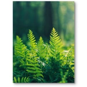 Plakat do salonu natura rośliny zielone paprocie minimalistyczny zielono-żółty