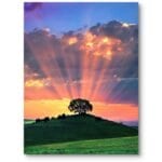 Plakat do salonu natura zachód słońca z drzewem nowoczesny pomarańczowo-zielony Plakat do salonu natura zachód słońca z drzewem nowoczesny pomarańczowo-zielony