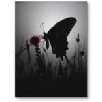 Plakat do salonu nowoczesny natura motyl minimalizm czarno-biały czerwony