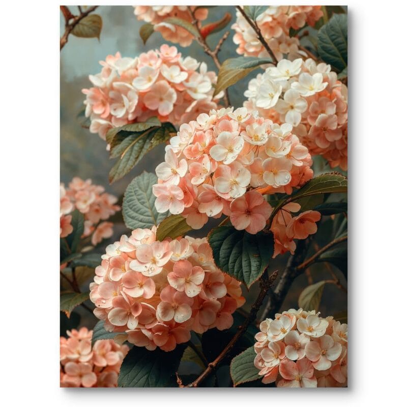 Plakat do salonu rustykalny natura kwiat hortensja różowo-biały
