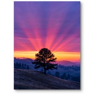 Plakat do salonu skandynawski krajobraz drzewo zachód słońca pomarańczowo-fioletowy