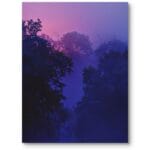 plakat-do-salonu-skandynawski-las-zachod-slonca-zimna-kolorystyka-zb3-1415 Plakat do salonu skandynawski las zachód słońca zimna kolorystyka fioletowy niebieski