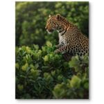 Plakat do salonu zwierzęta egzotyczne gepard realistyczny zielono-brązowy