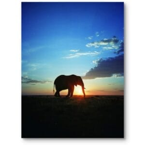 Plakat do salonu zwierzęta zachód słońca słoń rustykalny niebiesko-pomarańczowy