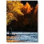 Plakat nad rzeką jesień w parku realistyczny dla nowoczesnego salonu pomarańczowo-żółty Plakat nad rzeką jesień w parku realistyczny dla nowoczesnego salonu pomarańczowo-żółty