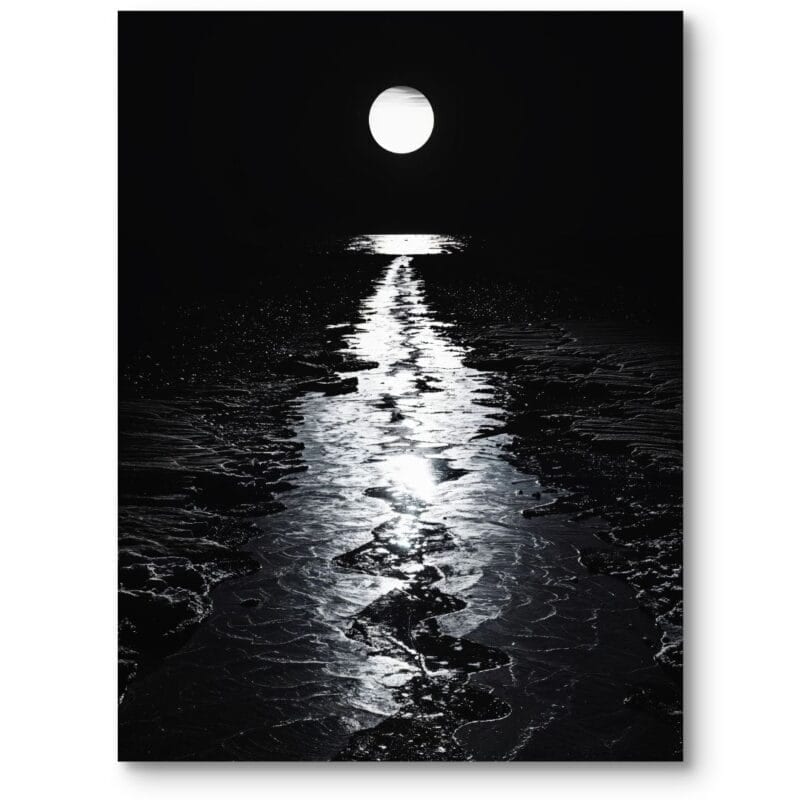 Plakat nocny krajobraz pełnia księżyca nad wodą realistyczny do salonu minimalistyczny czarno-biały