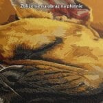 żółty czerwony brązowy realistyczny plakat na ścianę do sypialni