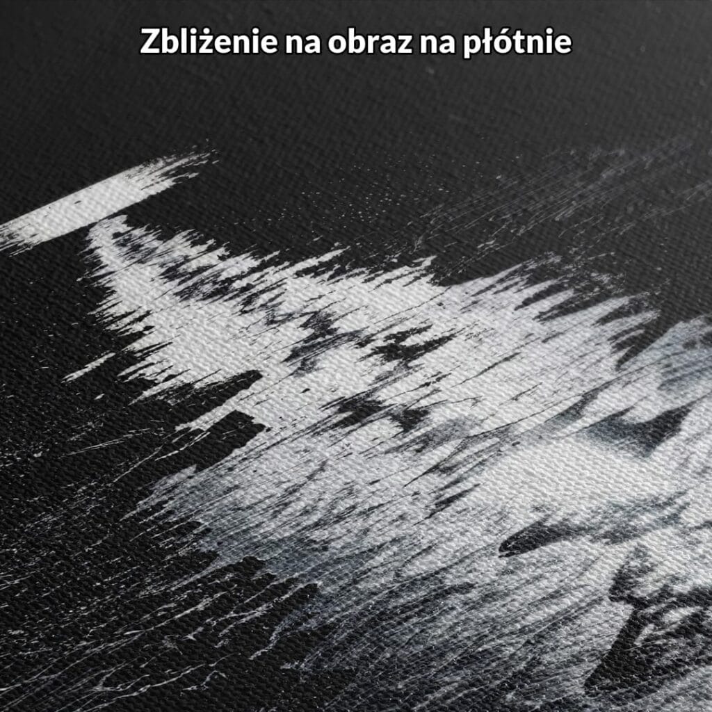 Obraz na płótnie