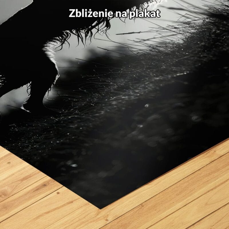 Plakat zwierzęta psy do salonu czarno-biały