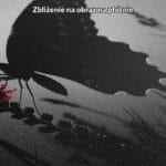 czarno-biały czerwony realistyczny plakat na ścianę do sypialni