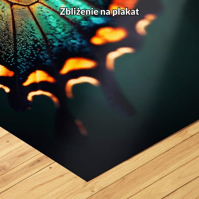 Plakat natura owady motyle do salonu