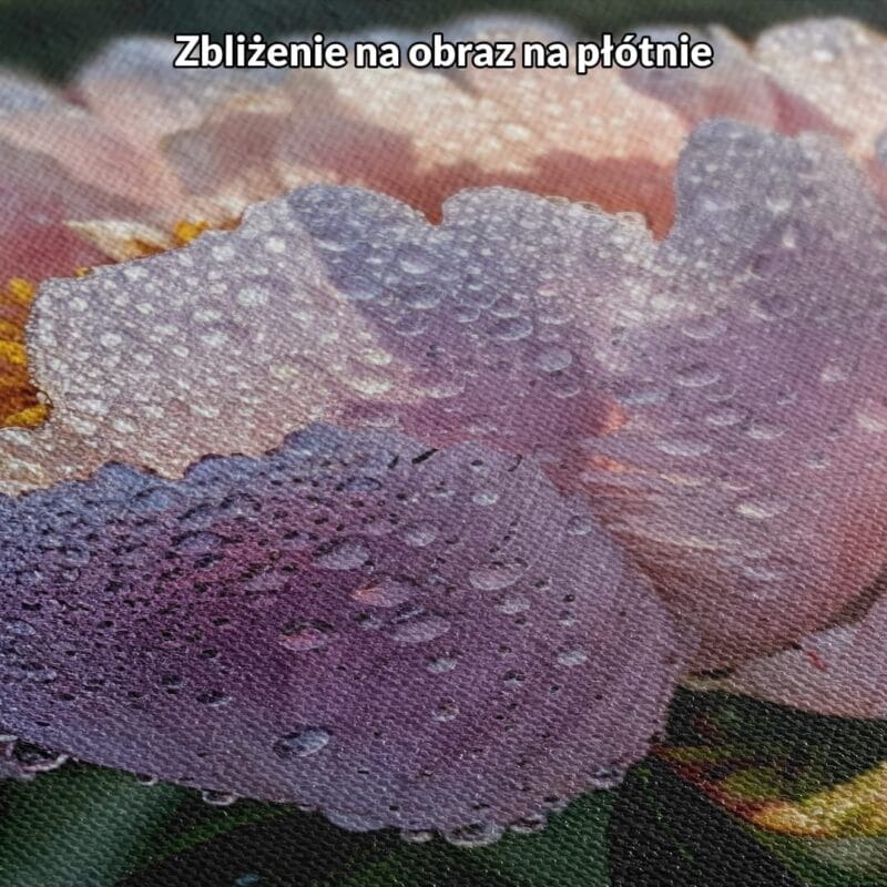 różowy zielony żółty realistyczny plakat na ścianę do sypialni