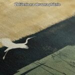 Obraz jeziora ptak w locie naturalizm do salonu