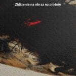 Obraz nowoczesny do salonu twarz kobiety w lesie