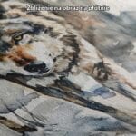 biały szary brązowy realistyczny obraz na ścianę do sypialni Obraz wilk do salonu skandynawski realistyczny