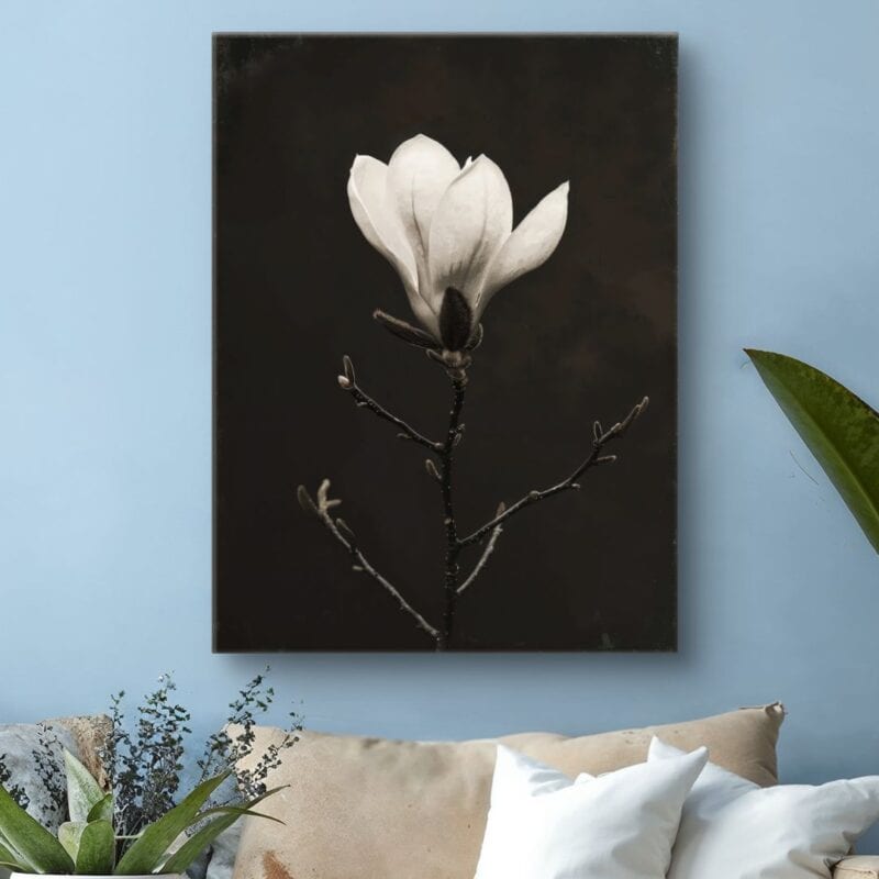 Plakat natura kwiat magnolia do salonu