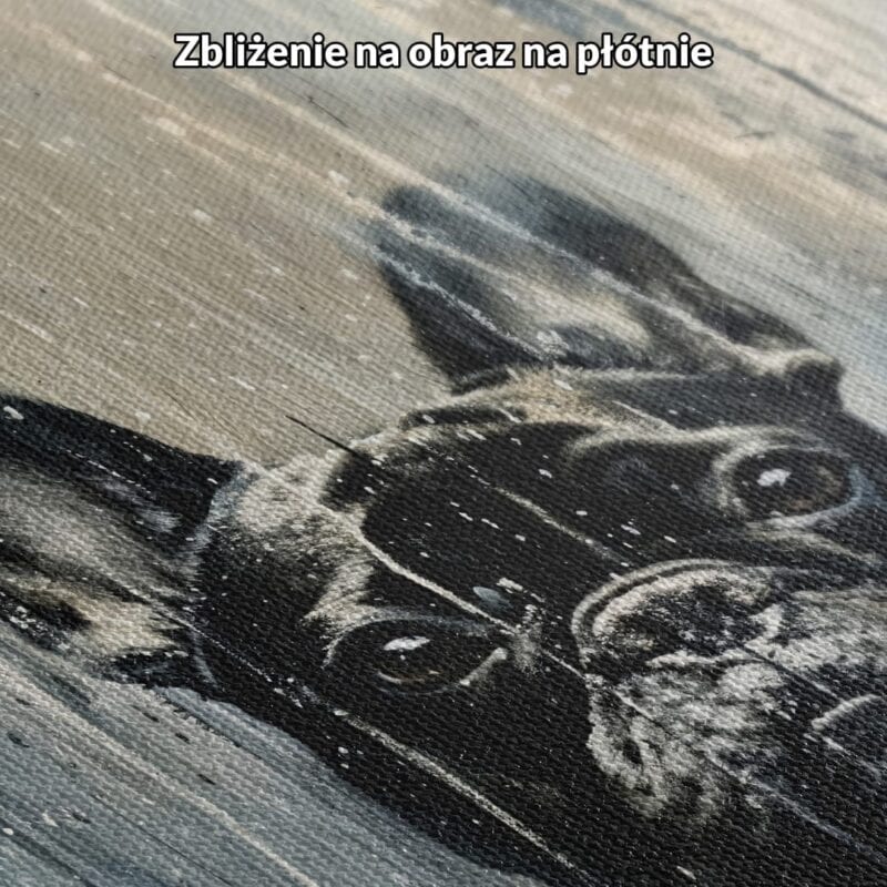 Obraz na płótnie do salonu buldog francuski