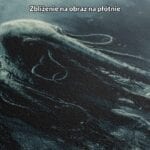 Obraz mityczne stworzenia w ciemnej wodzie do salonu