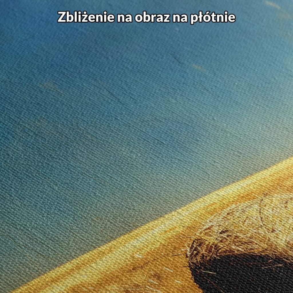 Obraz na płótnie