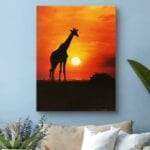 Plakat żyrafa na tle zachodu słońca do salonu Plakat żyrafa na tle zachodu słońca do salonu