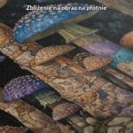 Obraz na płótnie magiczne grzyby w lesie do salonu