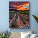 Plakat pole lawendy zachód słońca do salonu