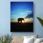 Plakat zwierzęta zachód słońca słoń Plakat zwierzęta zachód słońca słoń