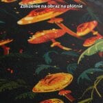 Obraz grzyby natura fantastyczny las do salonu