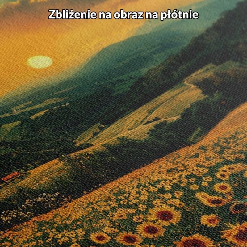 Obraz pola słoneczników zachód słońca do salonu