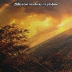Obraz na płótnie do salonu zachód słońca nad lasem