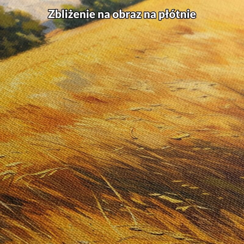 Obraz letni krajobraz zbożowe pole drzewo do salonu