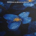 niebieski żółty realistyczny plakat na ścianę do sypialni