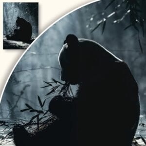 Plakat Panda w bambusowym lesie