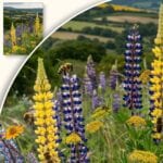 Plakat Pszczoły na kwiecistej łące