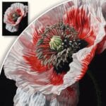 zb3-1717-3n Obraz Elegancki mak na czarnym tle