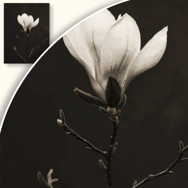 Plakat Subtelna magnolia