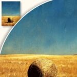 Obraz Samotny snopek siana na polu