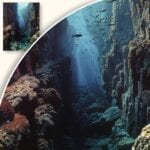 Plakat Głębia oceaniczna