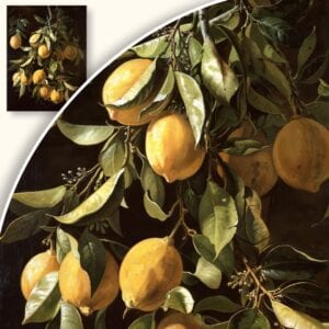 Obraz Gałąź z Cytrynami