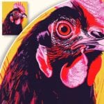 Plakat Dynamiczna kura na żółtym tle