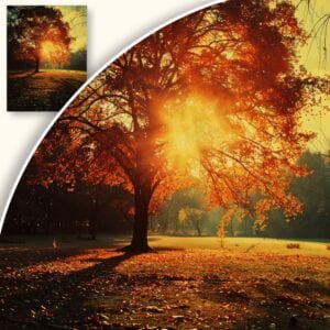 Plakat Drzewo o zachodzie słońca